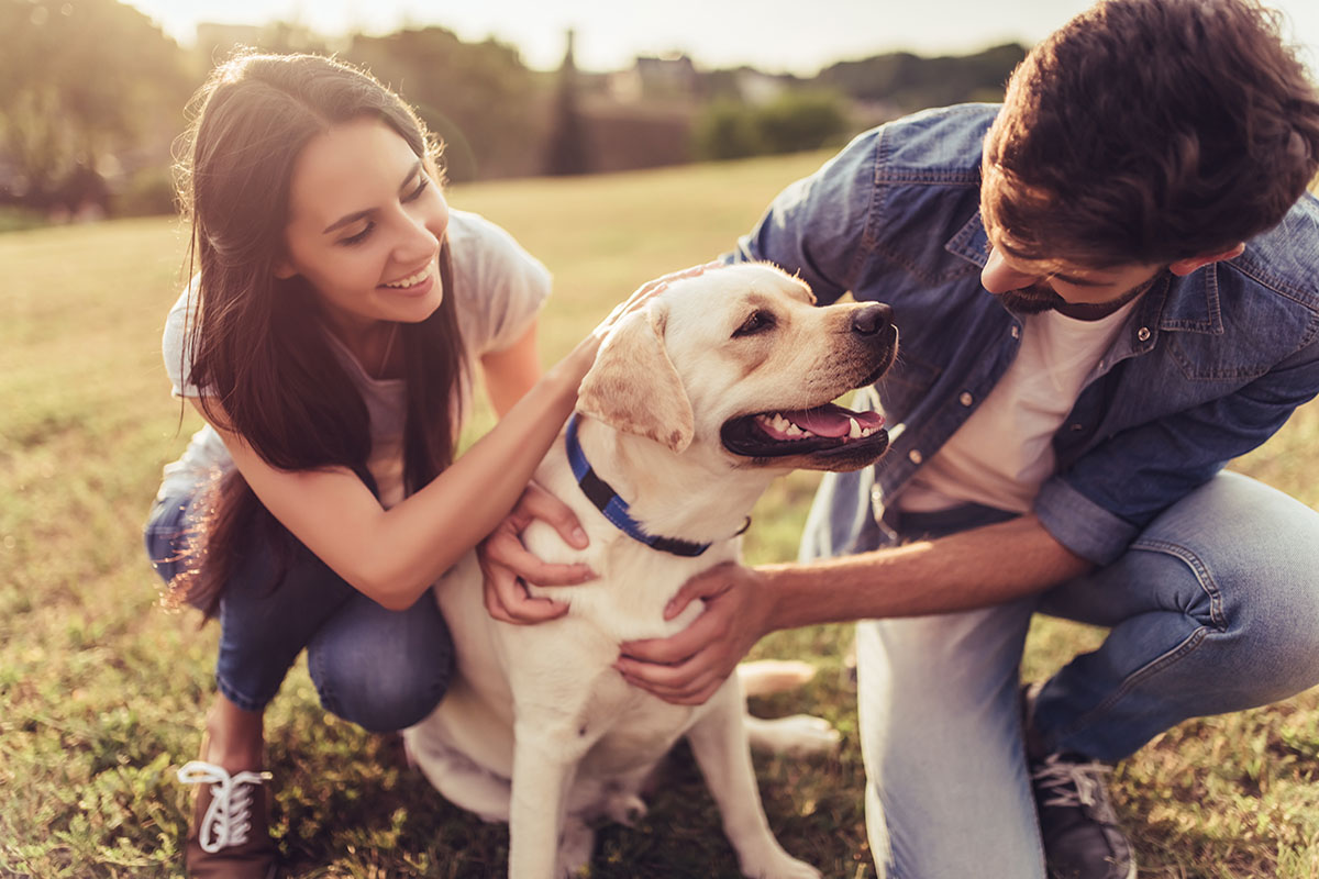 How To Stay Optimistic During Hard Times