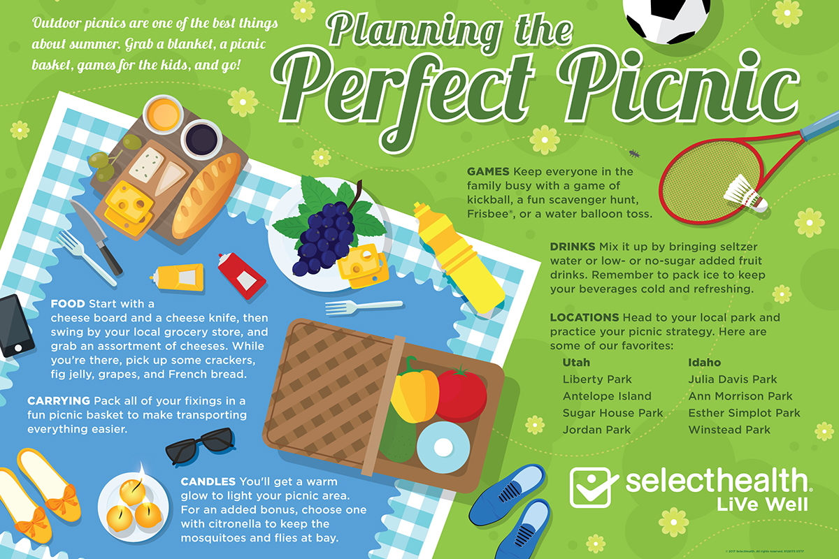 essay about planning a picnic with communicative style