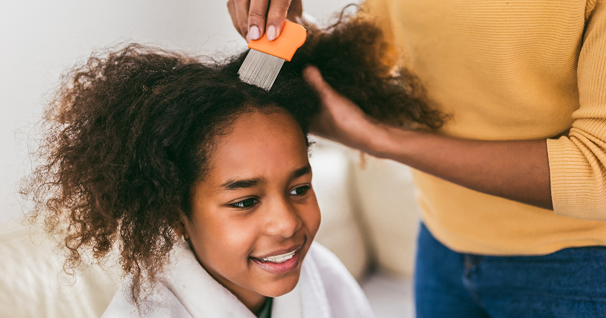 Dealing with Head Lice? Here is What You Need to Know