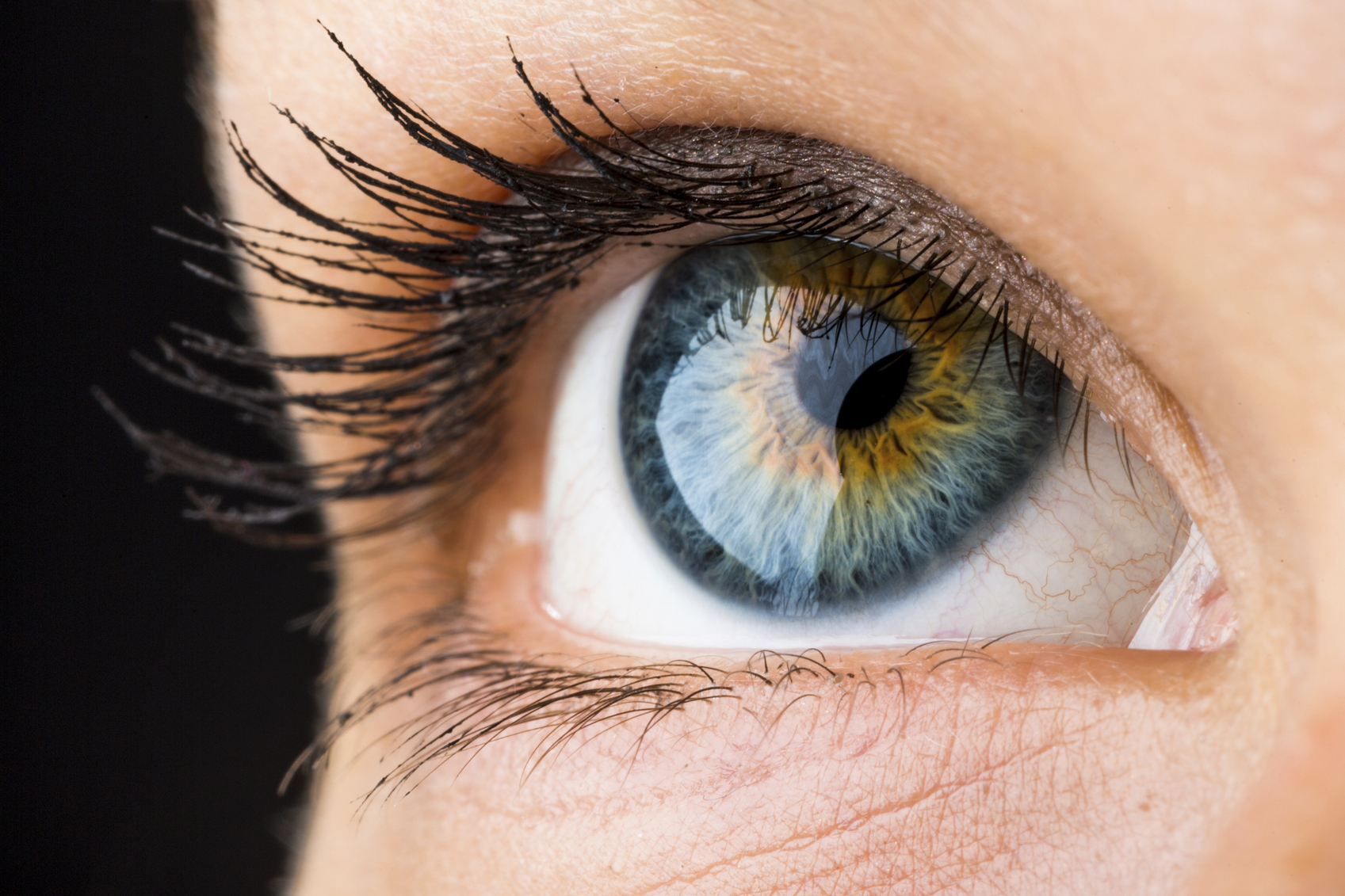 15 Surprising Facts About The Human Eye | SelectHealth