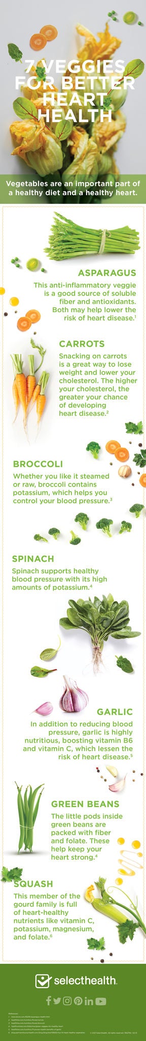 infographic of different vegetables and their nutritional benefits