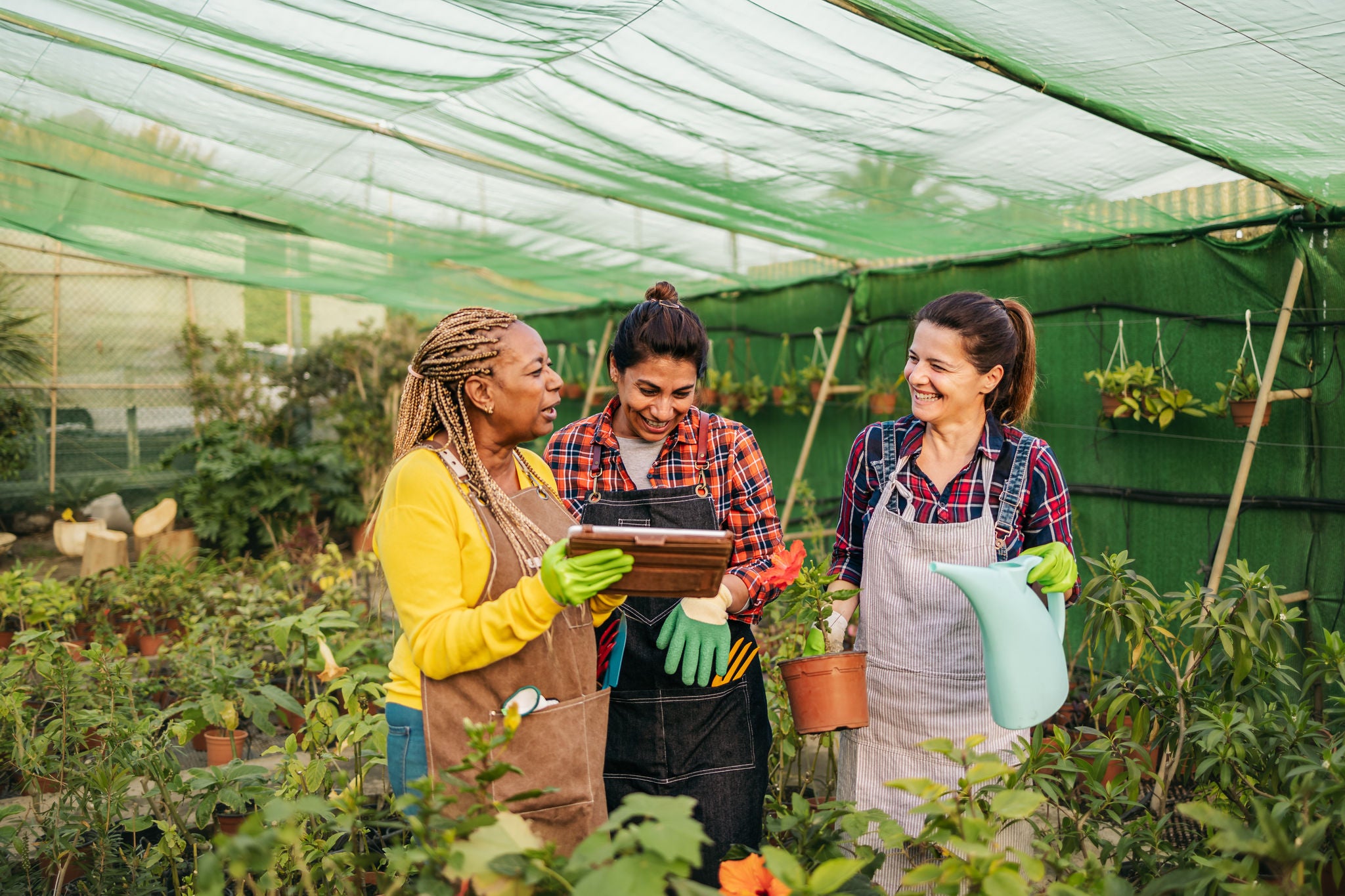 Happy multiracial women working together in plants and flowers garden shop