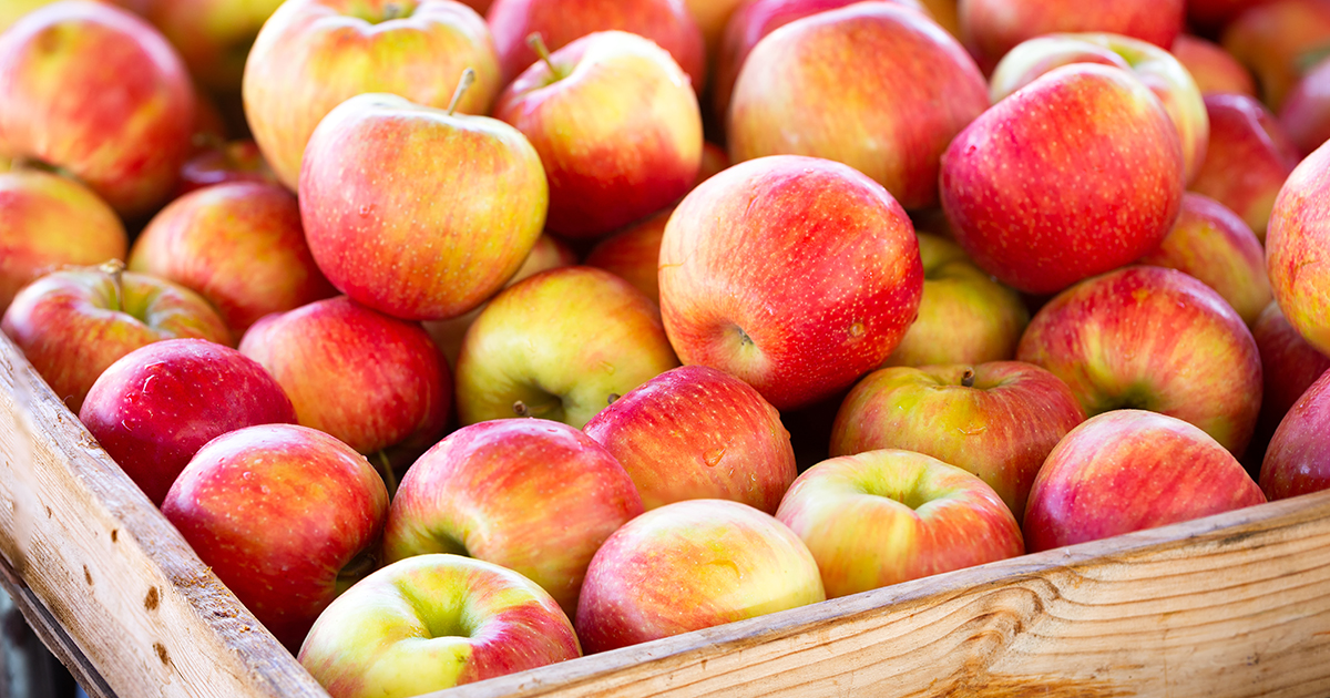 Washington State Apples Are In The Bag - Produce Business