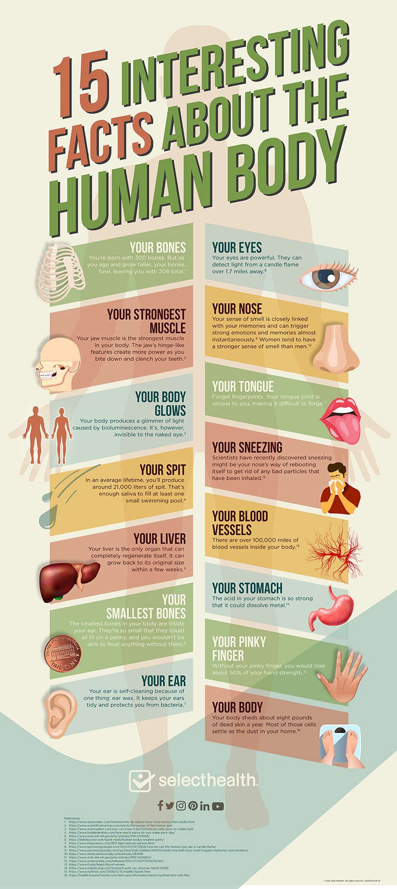 15 Interesting Facts About the Human Body Infographic