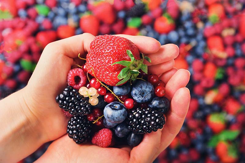 Handful of fresh berries are good cancer fighting foods.