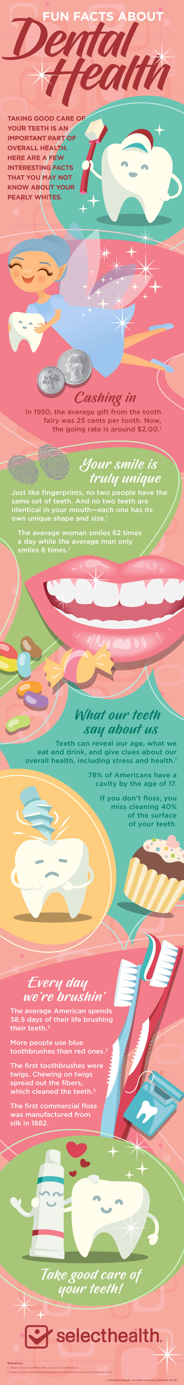 infographic showing different facts about human teeth