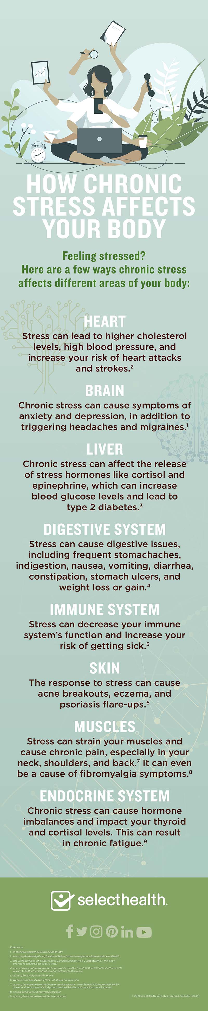 infographic describing the effects of stress