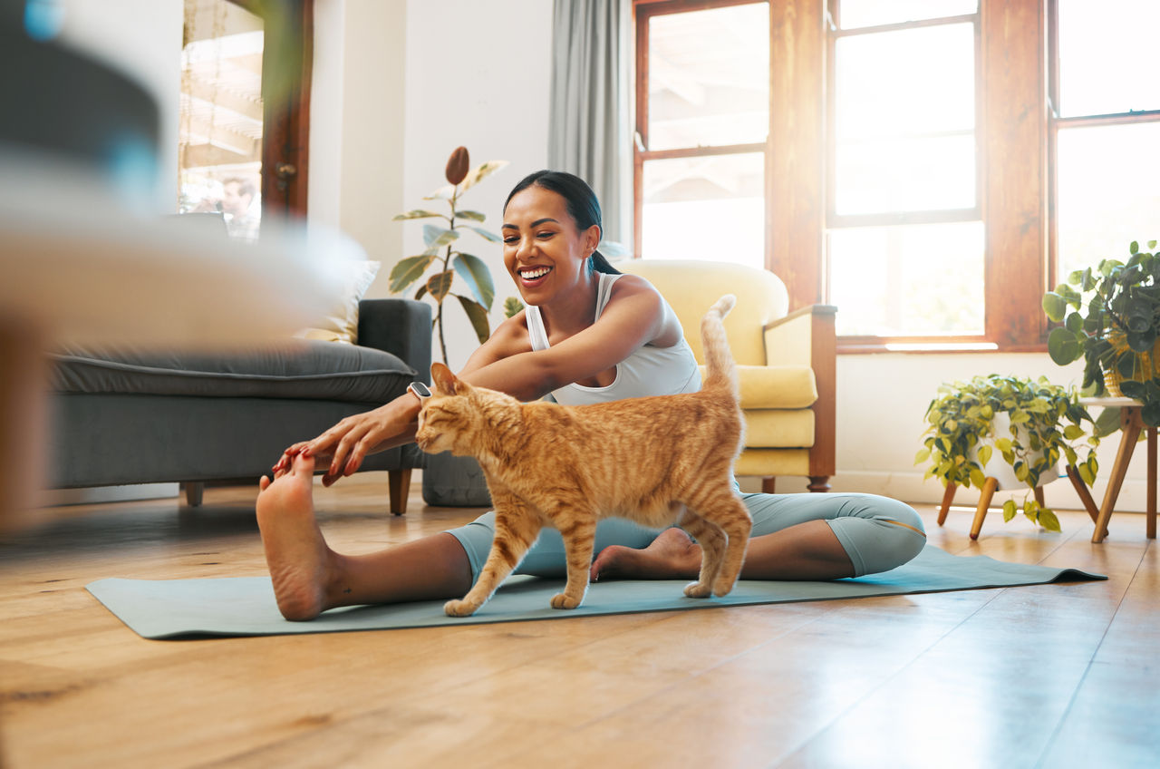 Cat, fitness or happy woman in yoga stretching legs for body flexibility, wellness or healthy lifestyle. Kitten, pet animal or zen girl in exercise, workout or training warm up in house exercising.