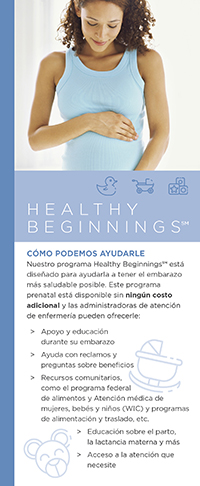 Healthy Beginnings Rack Card Spanish